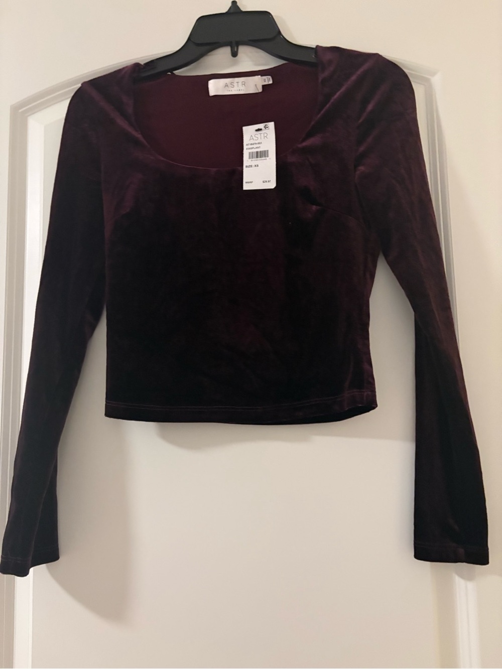 Astr Plum Velvet Long Sleeve Cropped Scoop Neck Top
